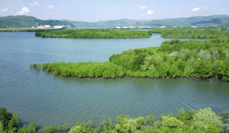 Tim Langsung Meninjau Lokasi Calon Kawasan Ekowisata Magrove dan Lokasi pembuatan Batu Bata Merah Di Wilker Desa Eyat Mayang